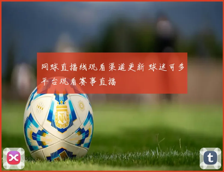 网球直播线观看渠道更新 球迷可多平台观看赛事直播