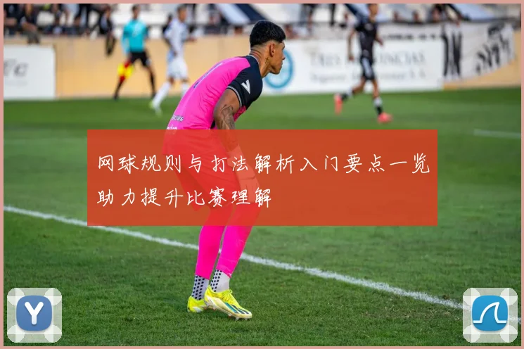 网球规则与打法解析入门要点一览助力提升比赛理解