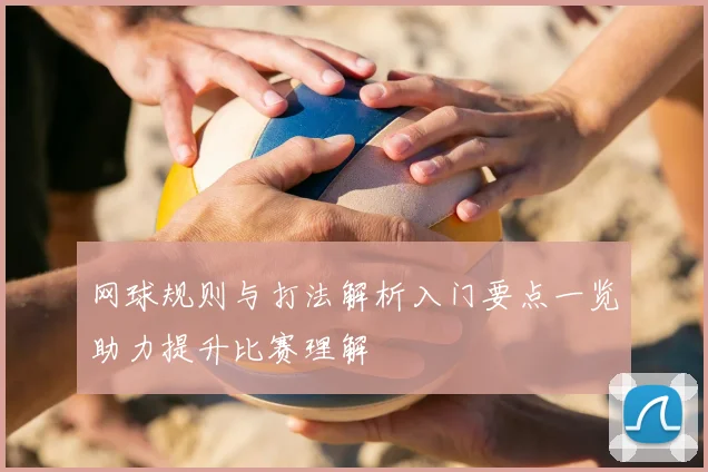 网球规则与打法解析入门要点一览助力提升比赛理解