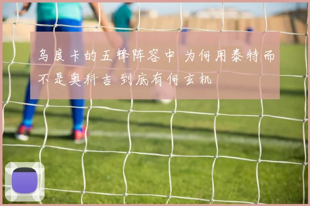 乌度卡的五锋阵容中 为何用泰特而不是奥科吉 到底有何玄机