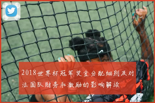 2018世界杯冠军奖金分配细则及对法国队财务和激励的影响解读