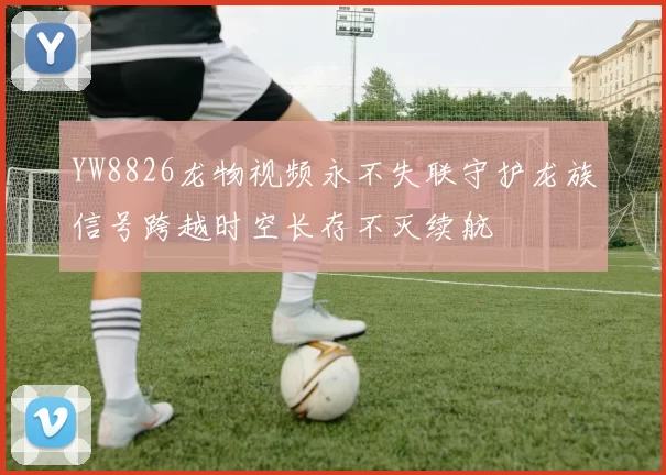 YW8826龙物视频永不失联守护龙族信号跨越时空长存不灭续航