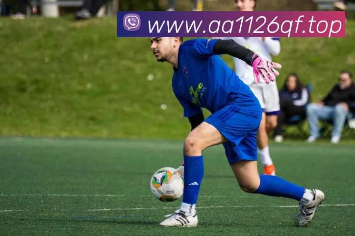 开云·kaiyun体育(中国大陆)官方网站 登录入口发展历程